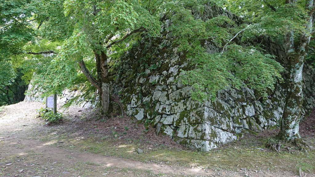 下から見上げた津和野城跡の天守台石垣