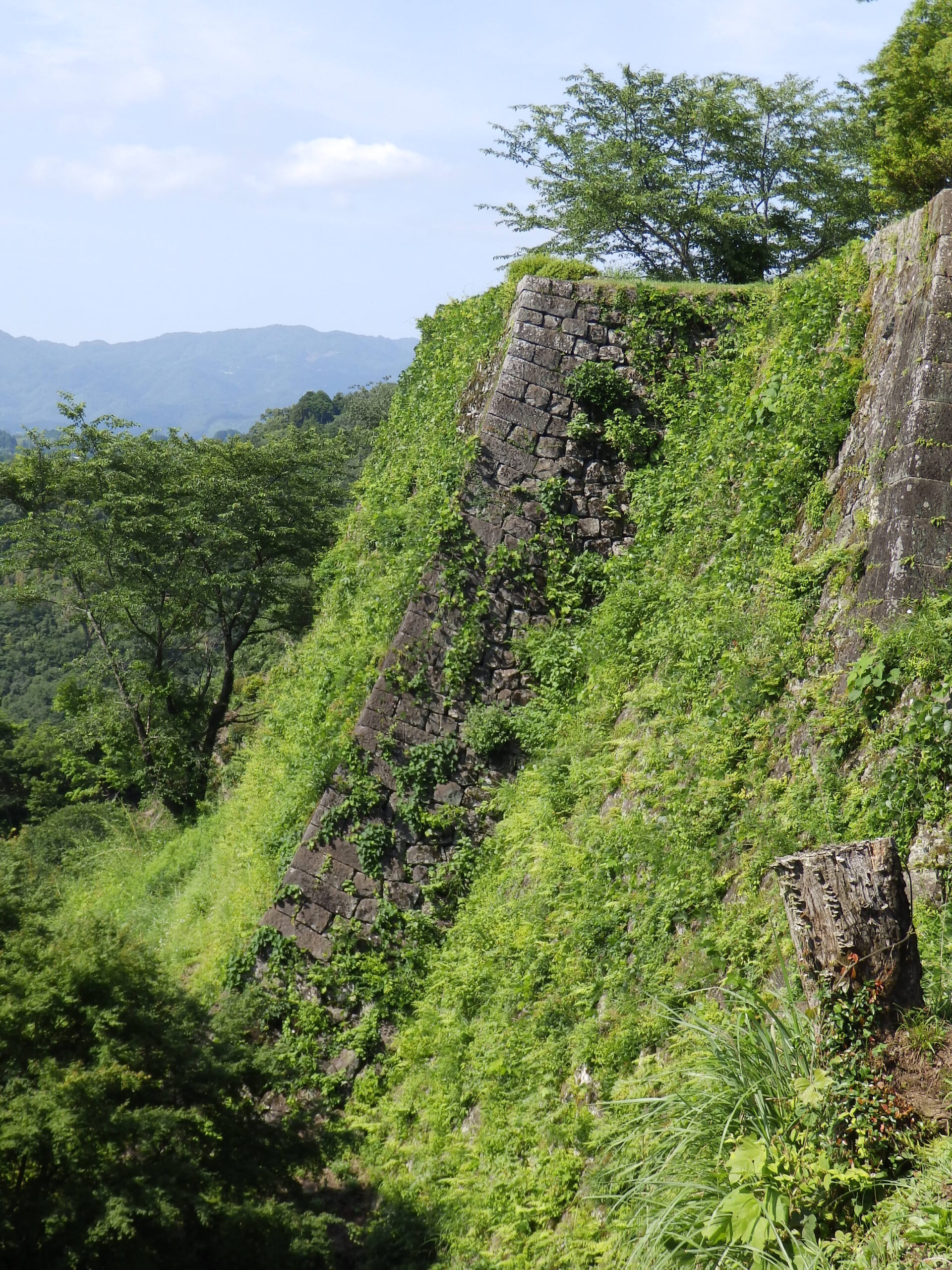 豊後岡城石垣